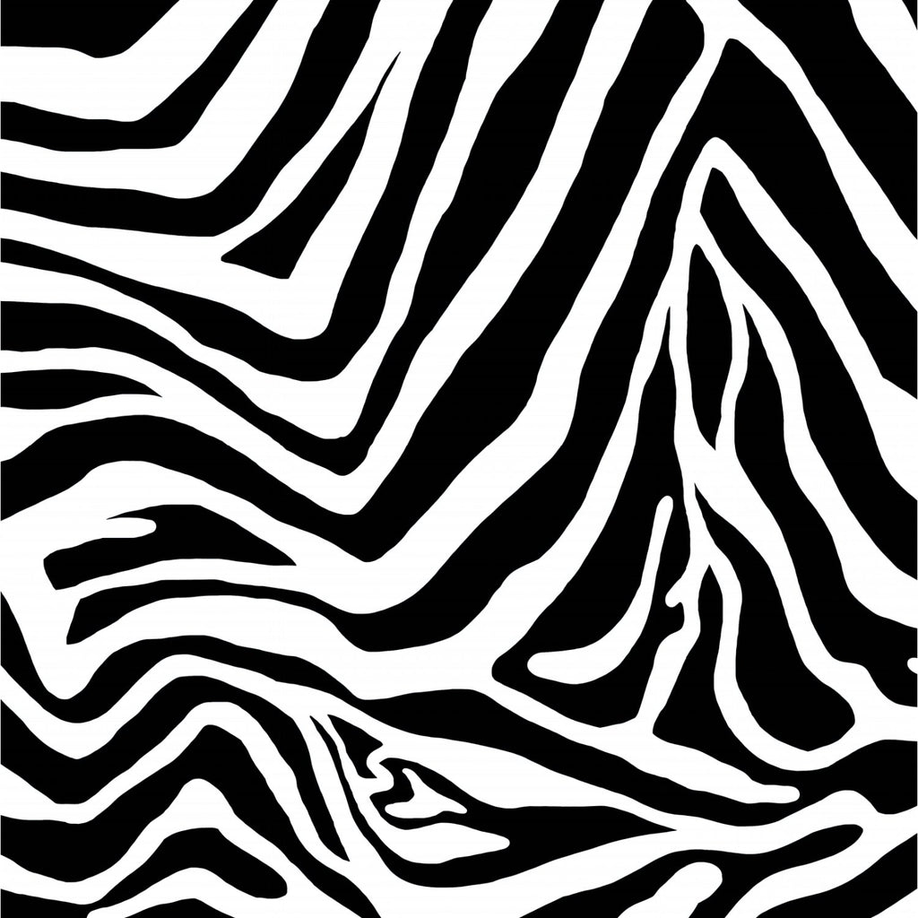 Cecilia Print Long Sleeve Crew Neck – 12932