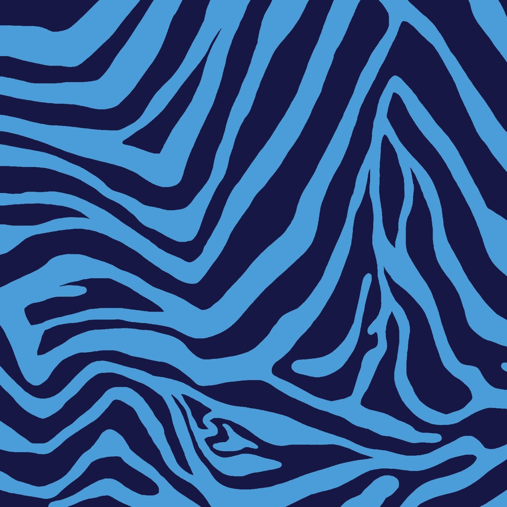 Cecilia Print Long Sleeve Crew Neck – 12932